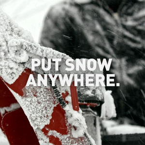 Pasted Image