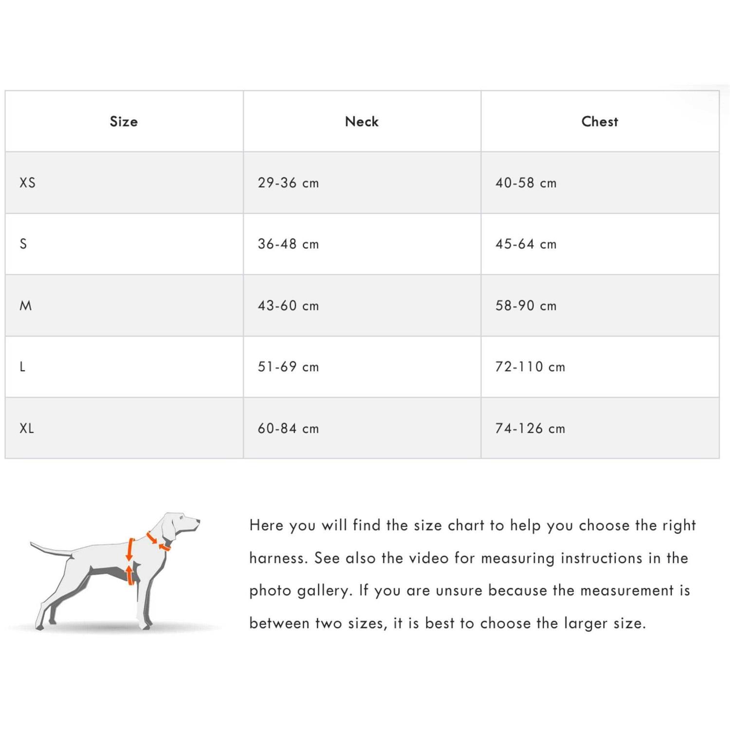 Non-stop Dogwear Ramble Harness