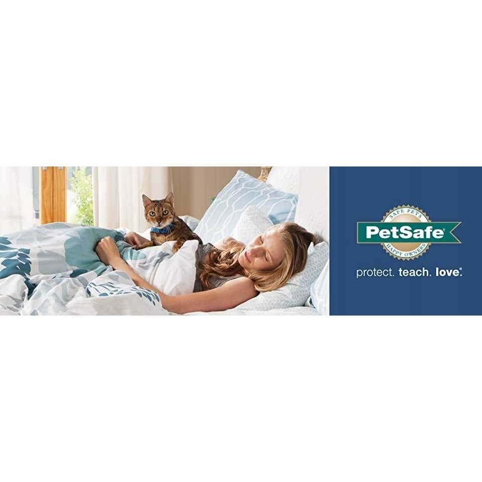 PetSafe 2-Pet Meal Splitter with Bowl - Pet Supplies online store