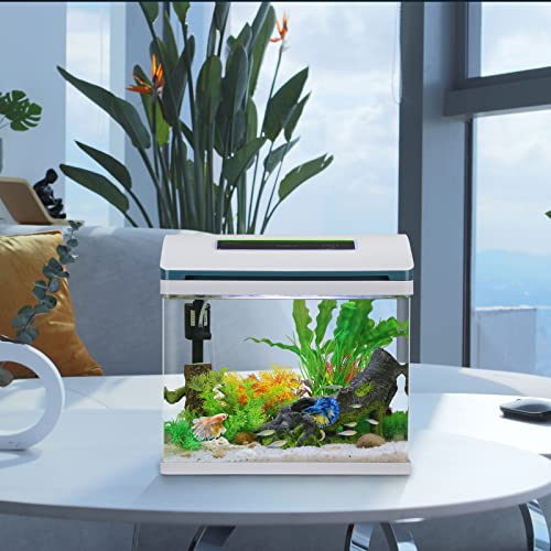Small Fish Tank Aquarium Starter Kit