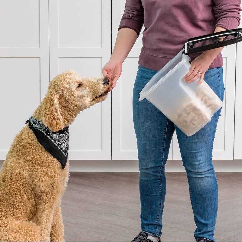 Iris Black Airtight Pet Food Storage Container - Pet Supplies online store