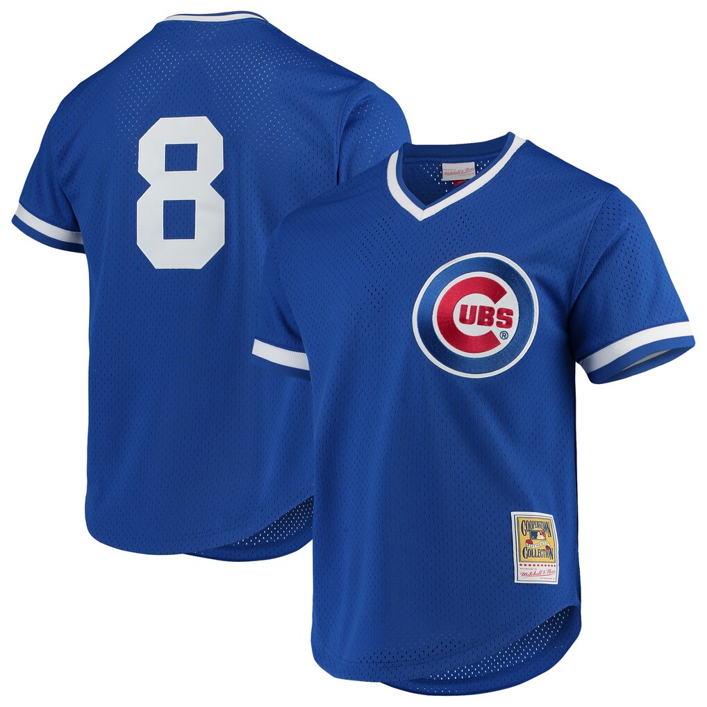 Men's Chicago Cubs Andre Dawson Mitchell & Ness Royal Authentic Batting Practice Jersey