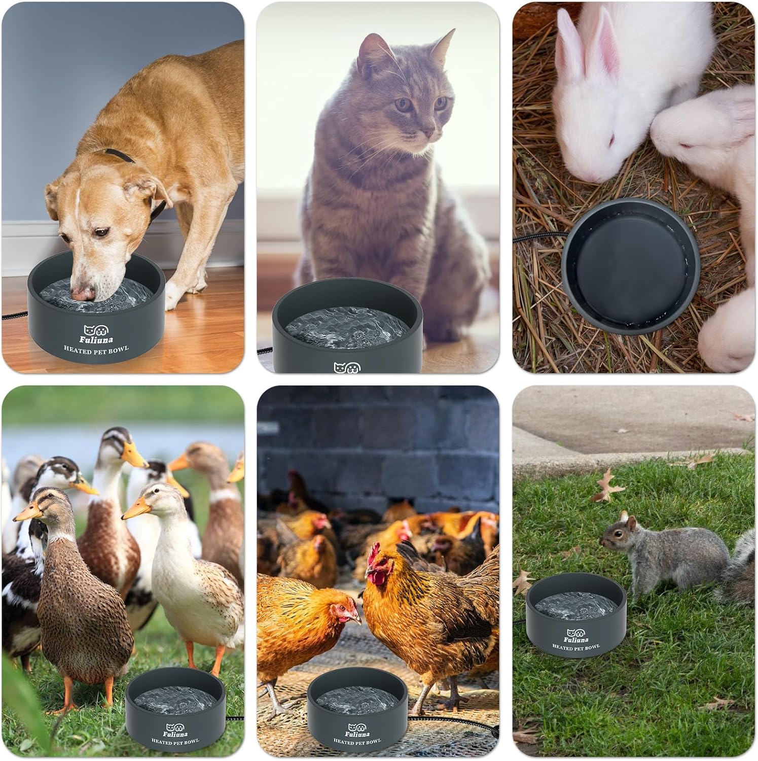 Outdoor Heated Pet Bowl with Chew Resistant Cord, Thermal Bowl Provides Drinkable Water in Winter for Dogs, Cats, Rabbits, Chickens, Ducks - 0.85 Gallon