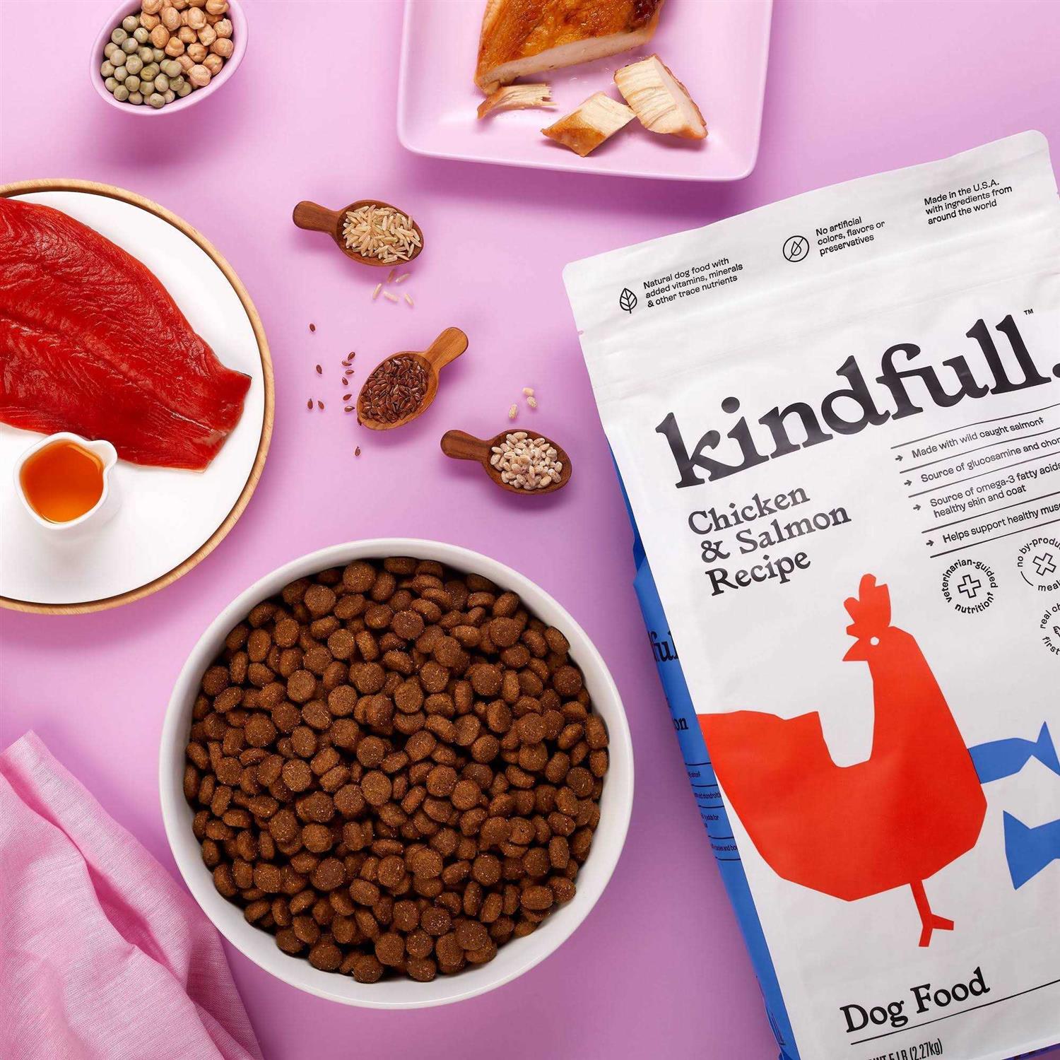 Kindfull Chicken and Salmon Recipe Dry Dog Food