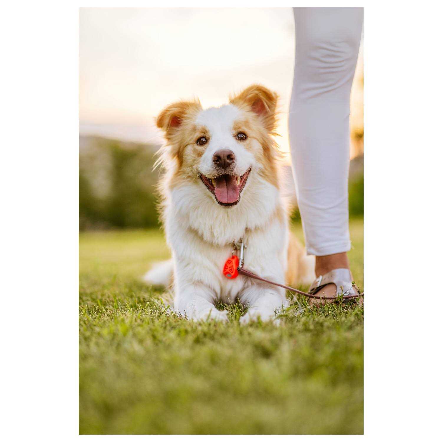 Tickless Pet Ultrasonic Tick and Flea Repeller