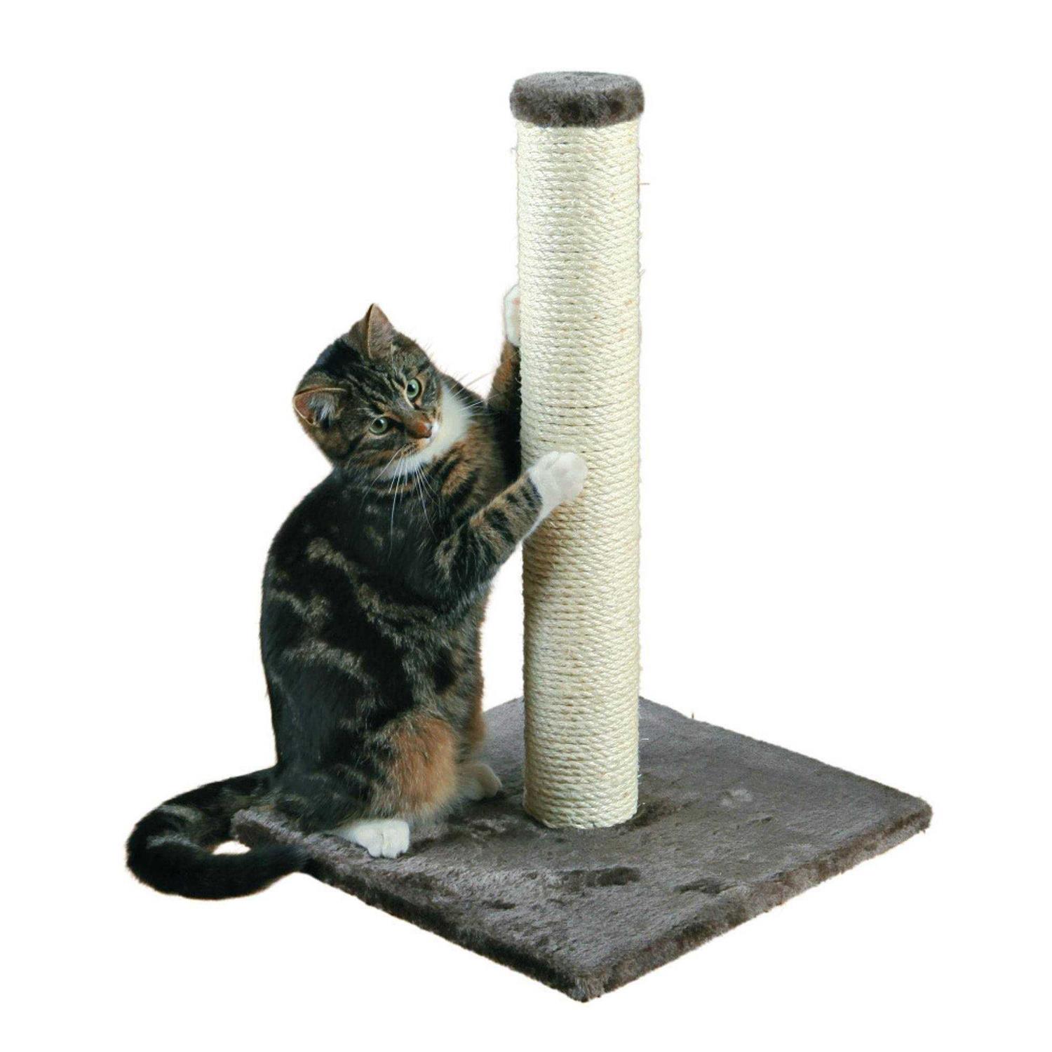 Trixie Parla Scratching Post