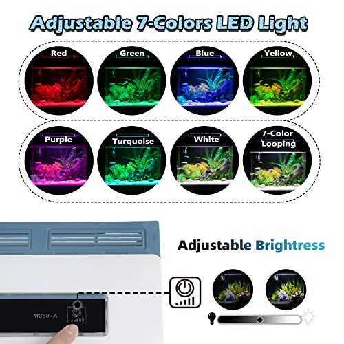Small Fish Tank Aquarium Starter Kit