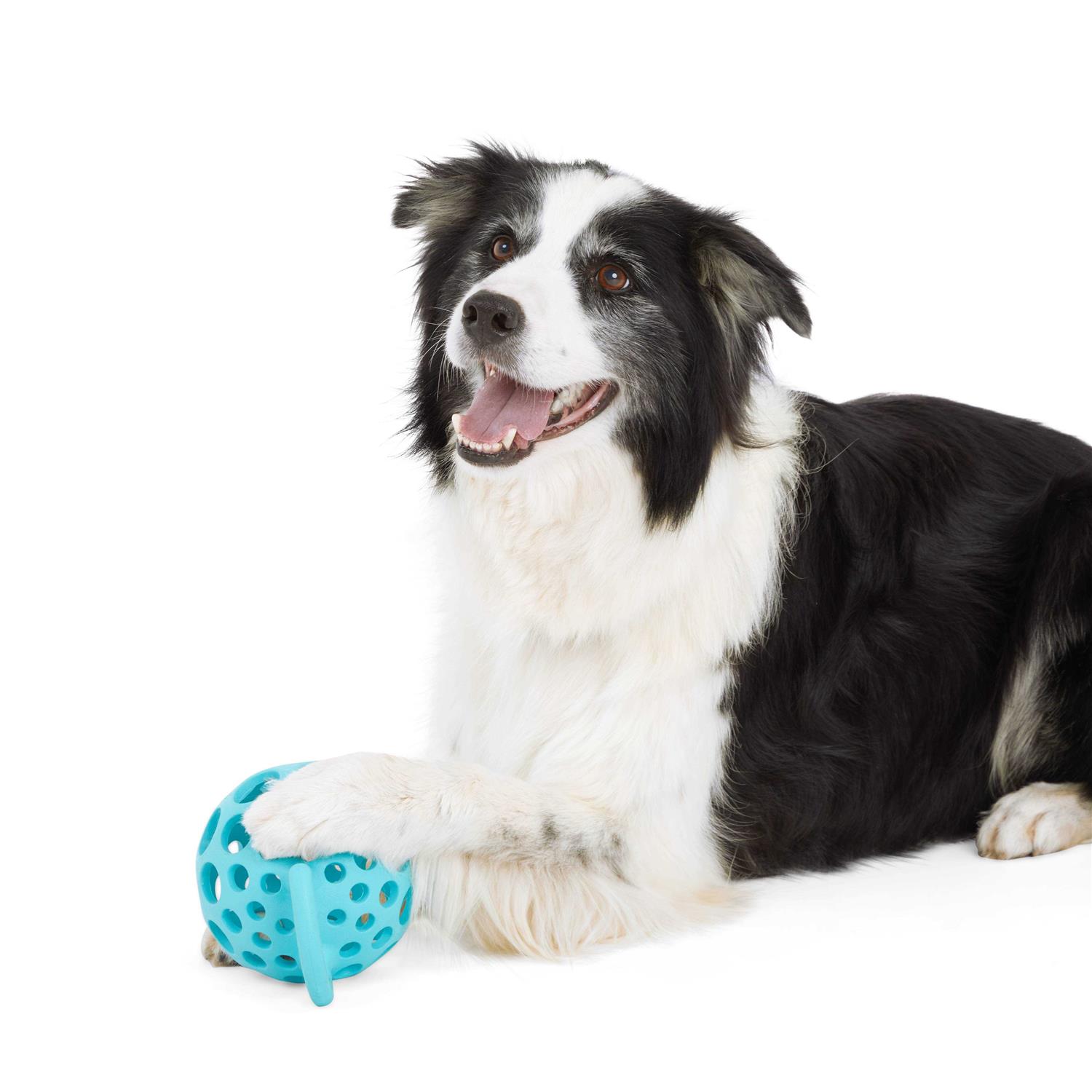 Leaps & Bounds Cage Ball with Handle Dog Toy