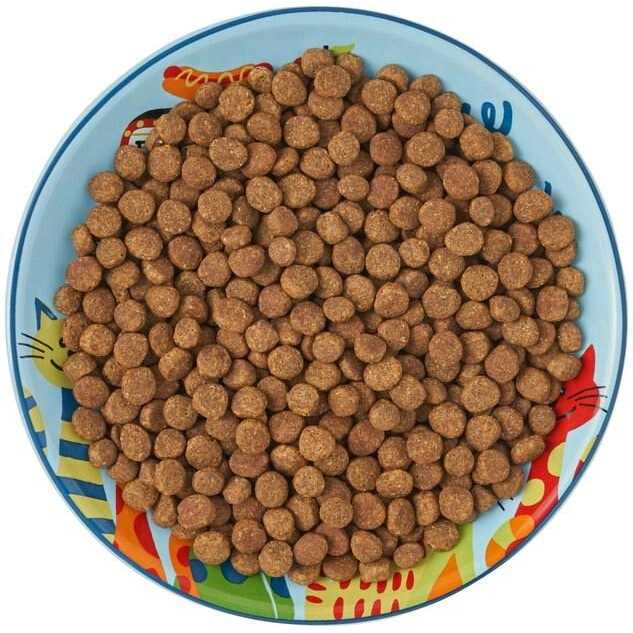 Frisco Non-skid Ceramic Cat Dish