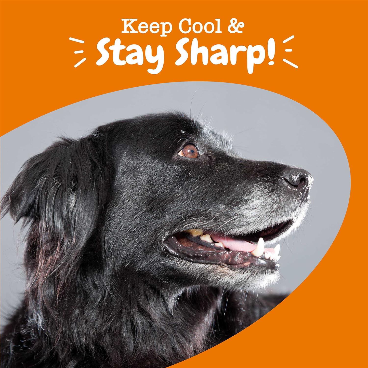 Zesty Paws Senior Advanced Calming + Cognition Bites Chicken Flavor Soft Chews Composure Supplement for Dogs