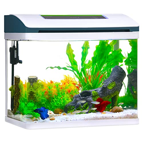 Small Fish Tank Aquarium Starter Kit