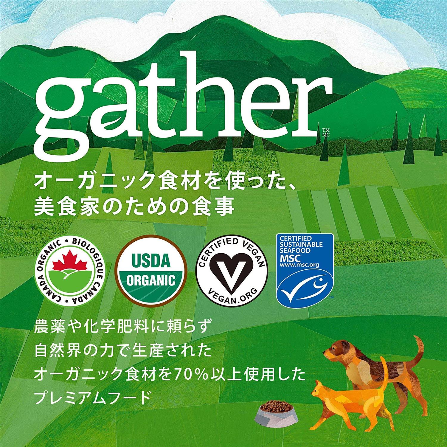 Petcurean Gather Free Acres Organic Free-Run Chicken Dry Cat Food
