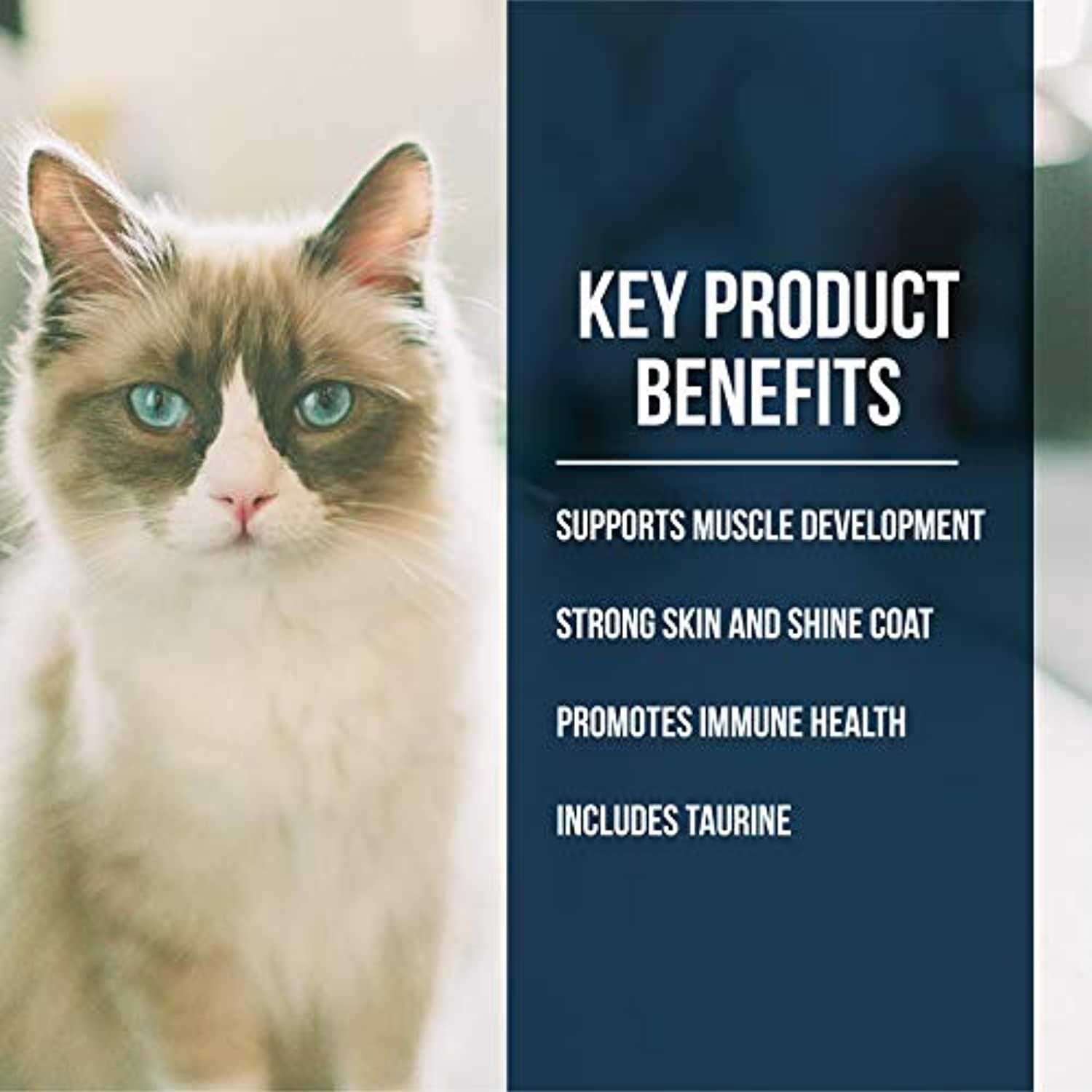 Fussie Cat Dry Cat Food Market Fresh Salmon