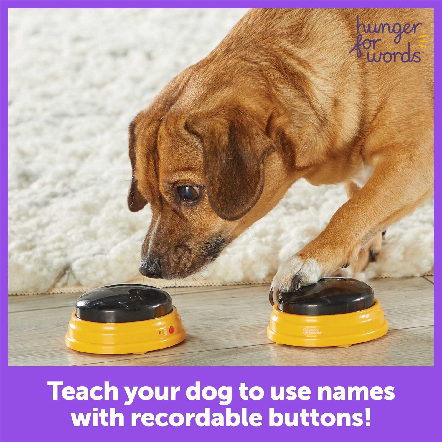 Hunger for Words Talking Pet Next Words