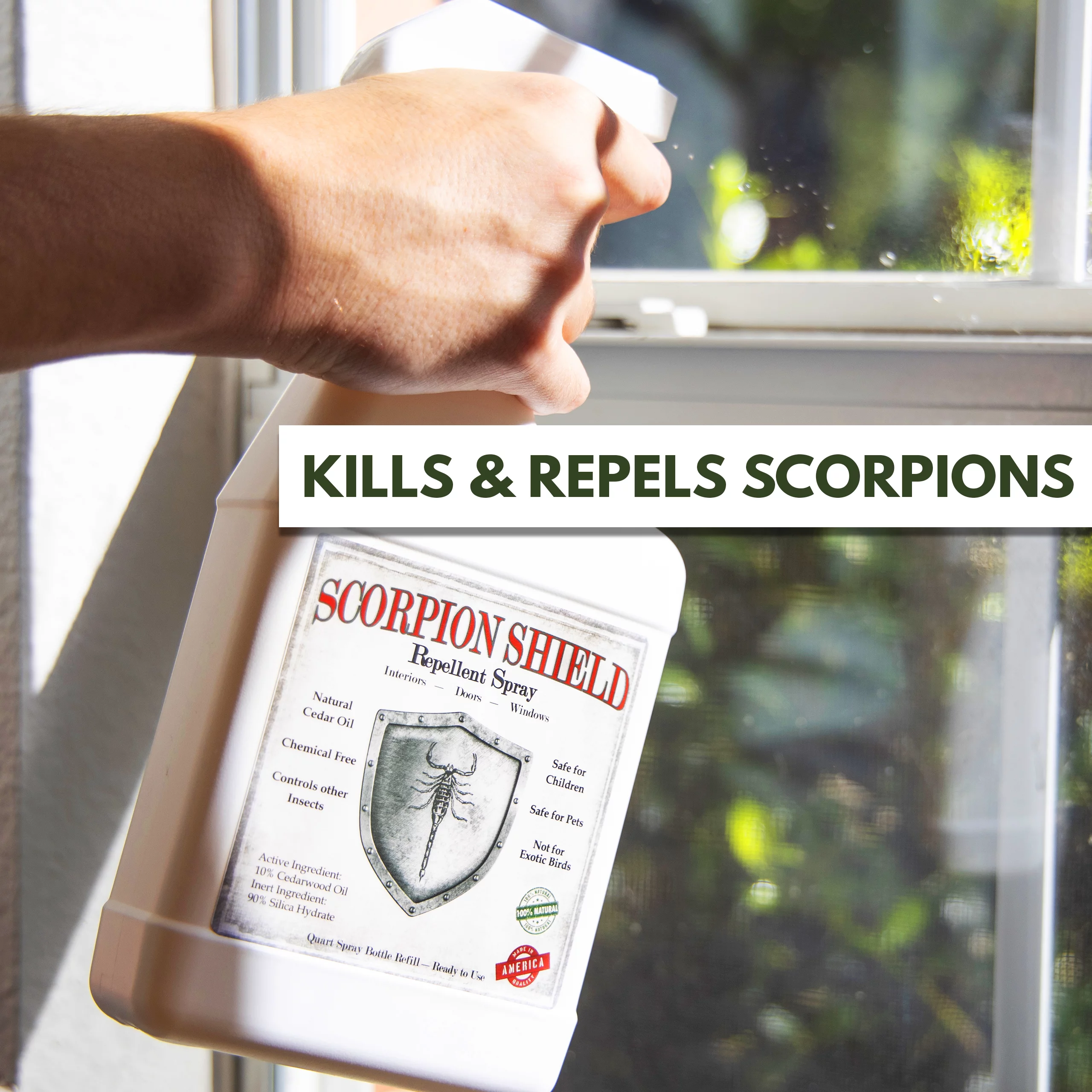 Cedarcide Scorpion Shield (Gallon) Indoor Natural Cedar Oil Pest Control Spray - Kills & Repels Scorpions and Other Pests Guaranteed - All Natural - Pet Safe - Curated Treasures Market