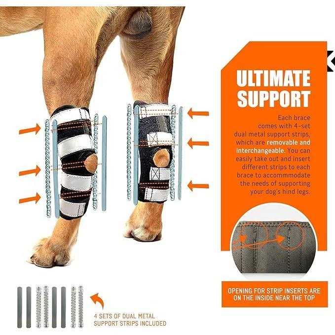 NeoAlly 3-in-1 Long Rear Leg Support Dog Splint Braces