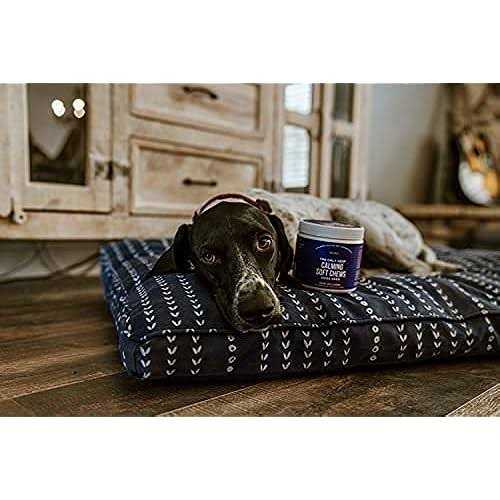 Natural Rapport The Only Calming Soft Chews Dogs Need
