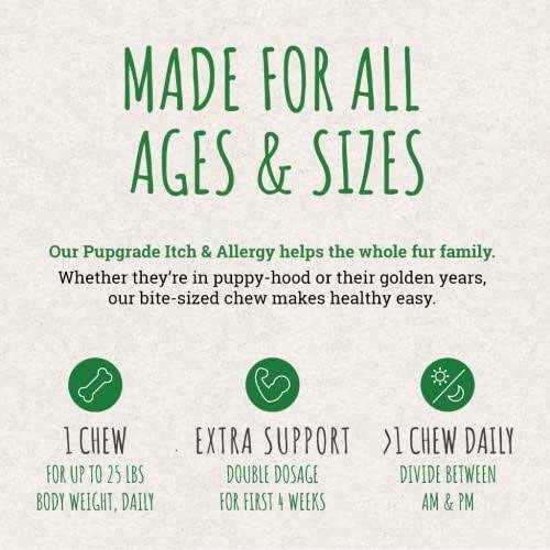 PupGrade Itch & Allergy Chew Supplement for Dogs Improved Immune Support & Seasonal Allergies with Alaskan Salmon Fish Oil
