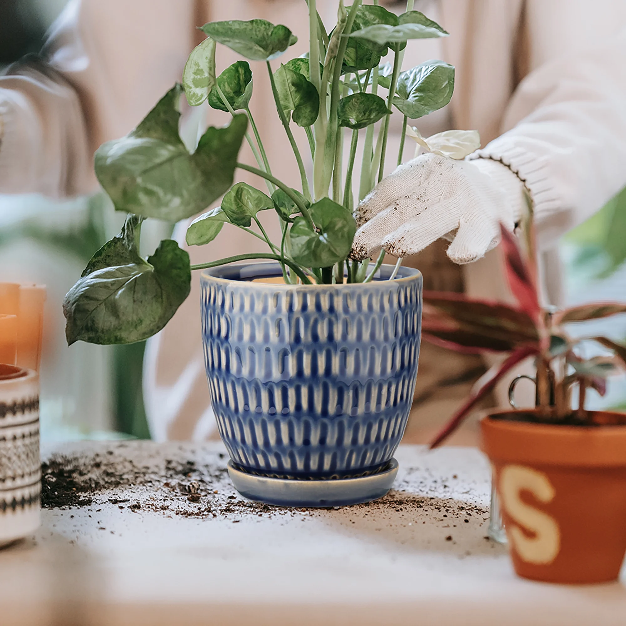 3 Pcs Ceramic Flower Planter Pots 4 Inch with Drainage Hole and Ceramic Tray for Succulents Cactus Indoor Outdoor Garden Home Windowsill Blue - Curated Treasures Market
