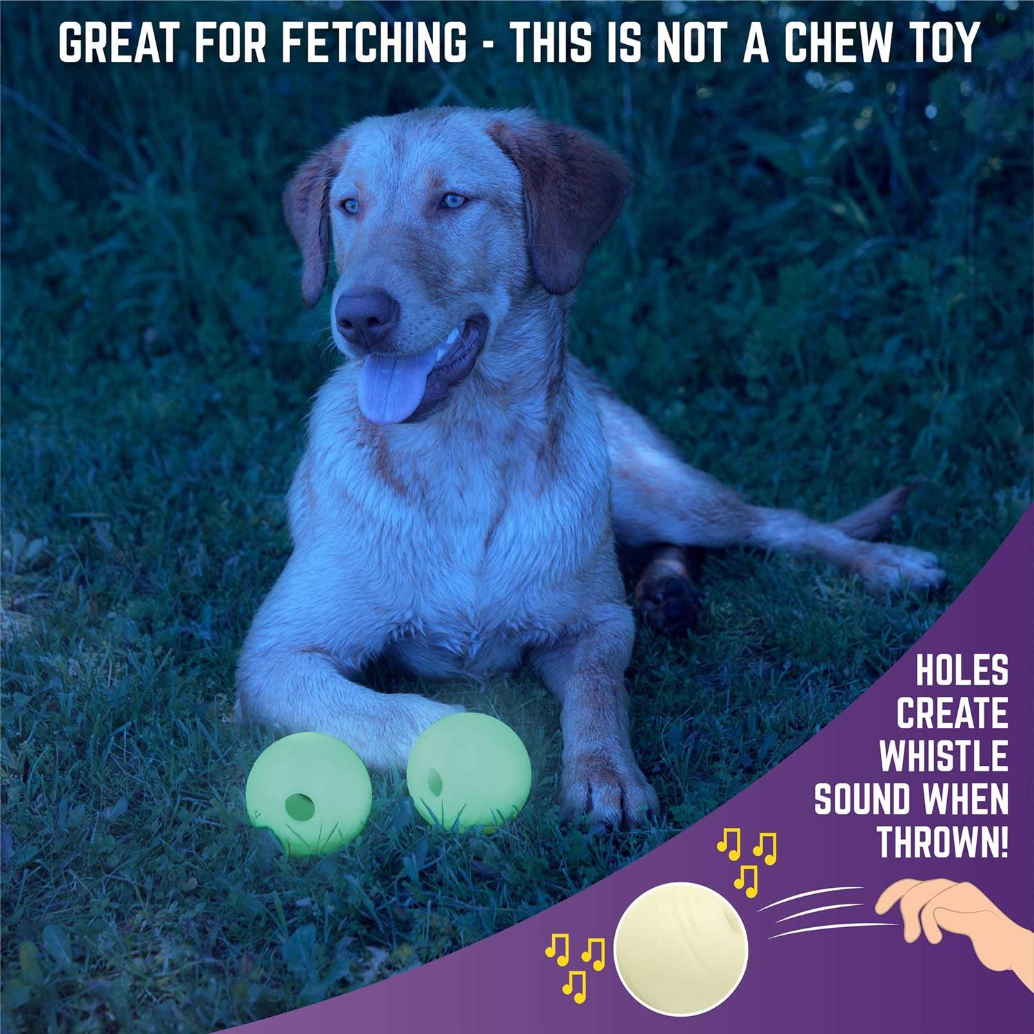 Chew King Glow Ball Dog Toys