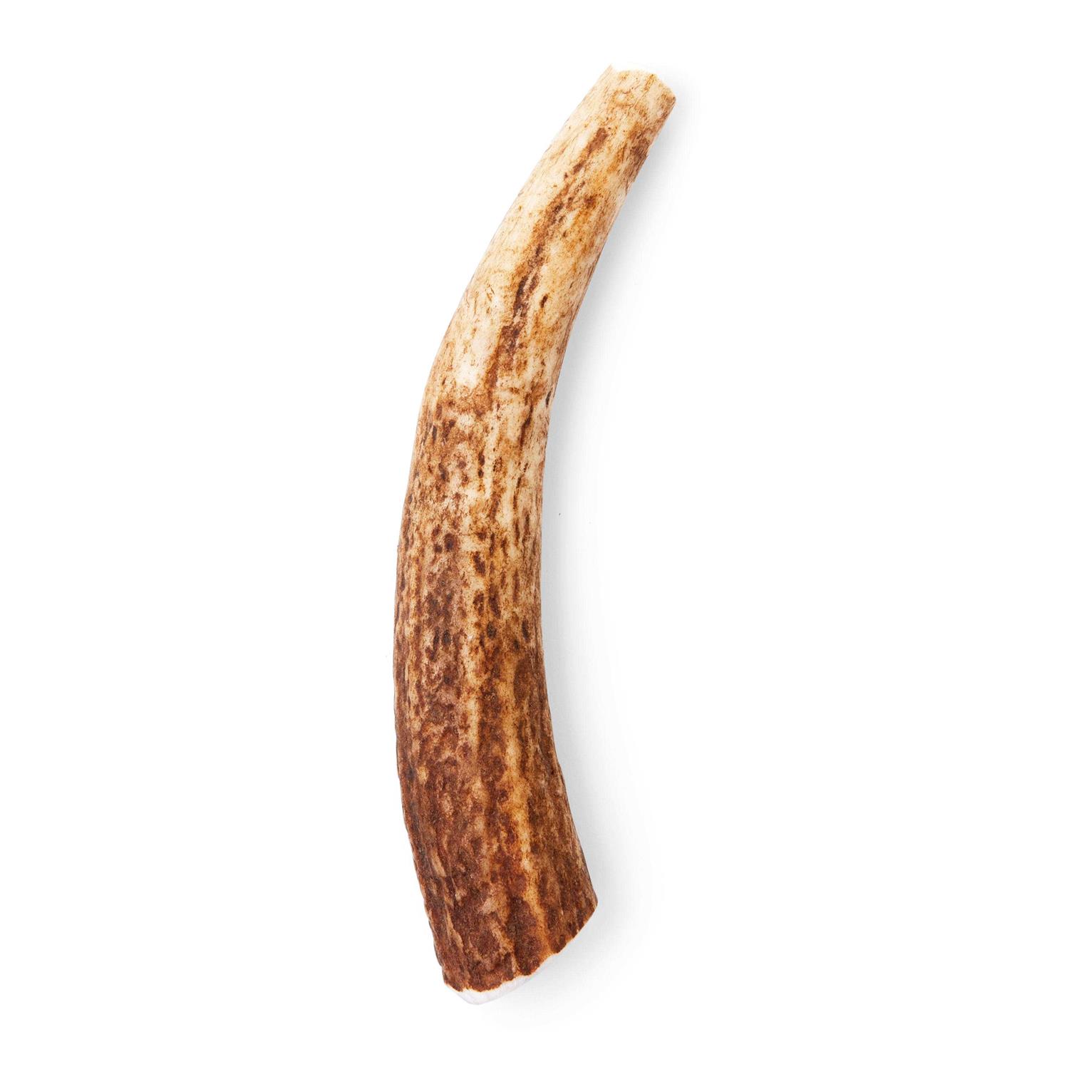 Good Lovin’ Naturally Shed Large Whole Elk Antler Dog Chew