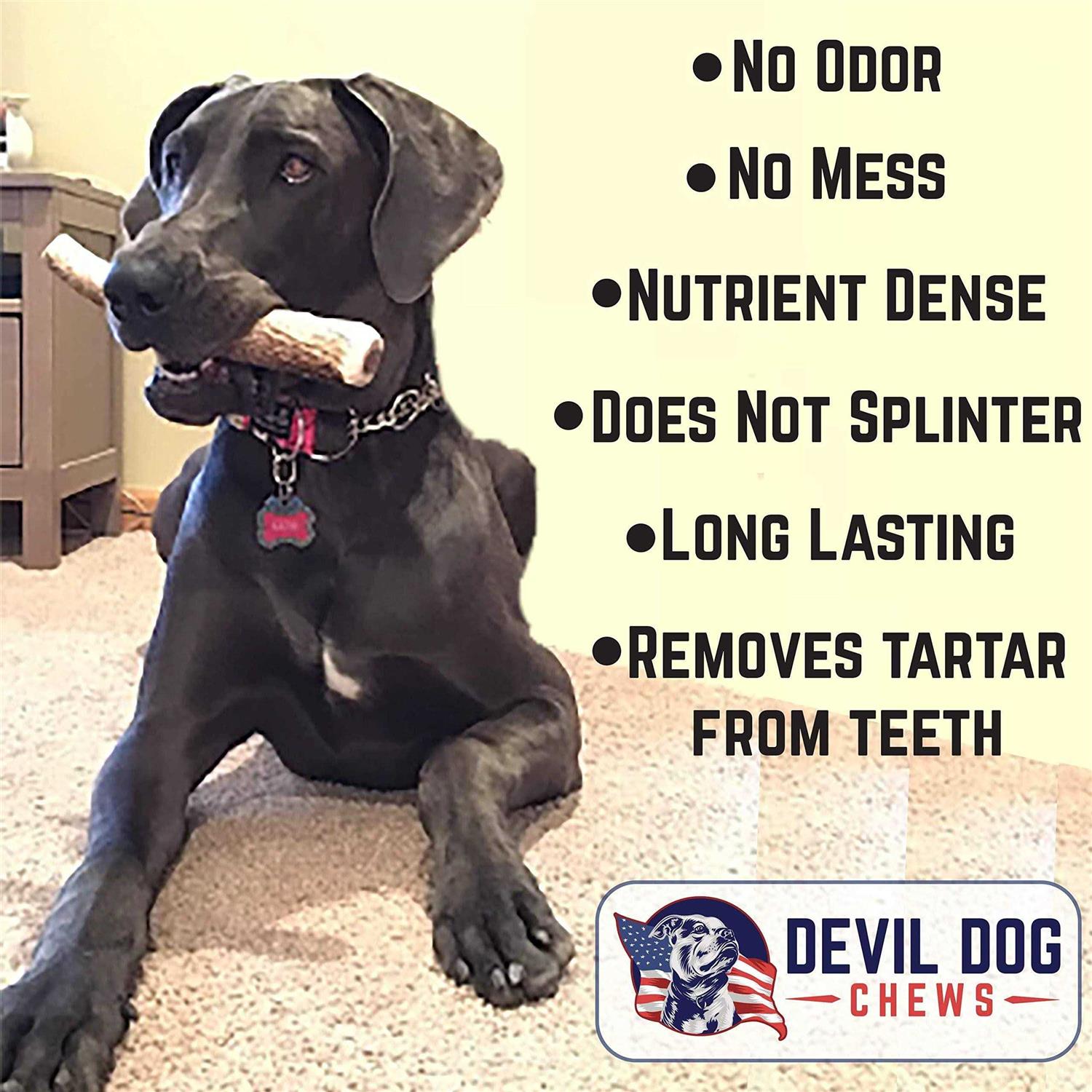 Devil Dog Pet Co Antler Dog Chew Premium Elk Antlers for Dogs Long Lasting Dog Bones for Aggressive Chewers