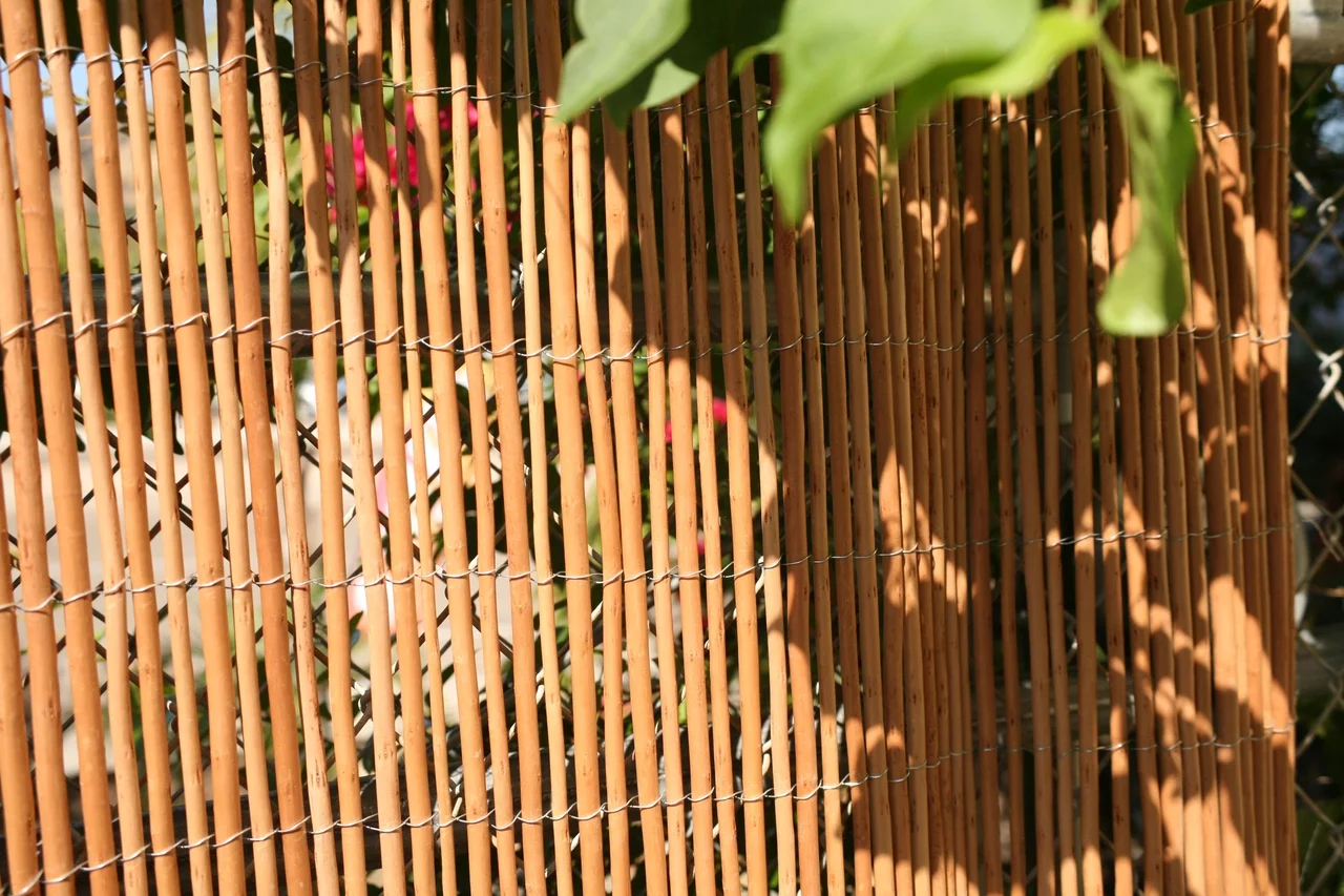 Backyard X-Scapes Natural Peeled Willow Fencing Rolled Panel Fence 6 ft H x 8 ft H - Curated Treasures Market