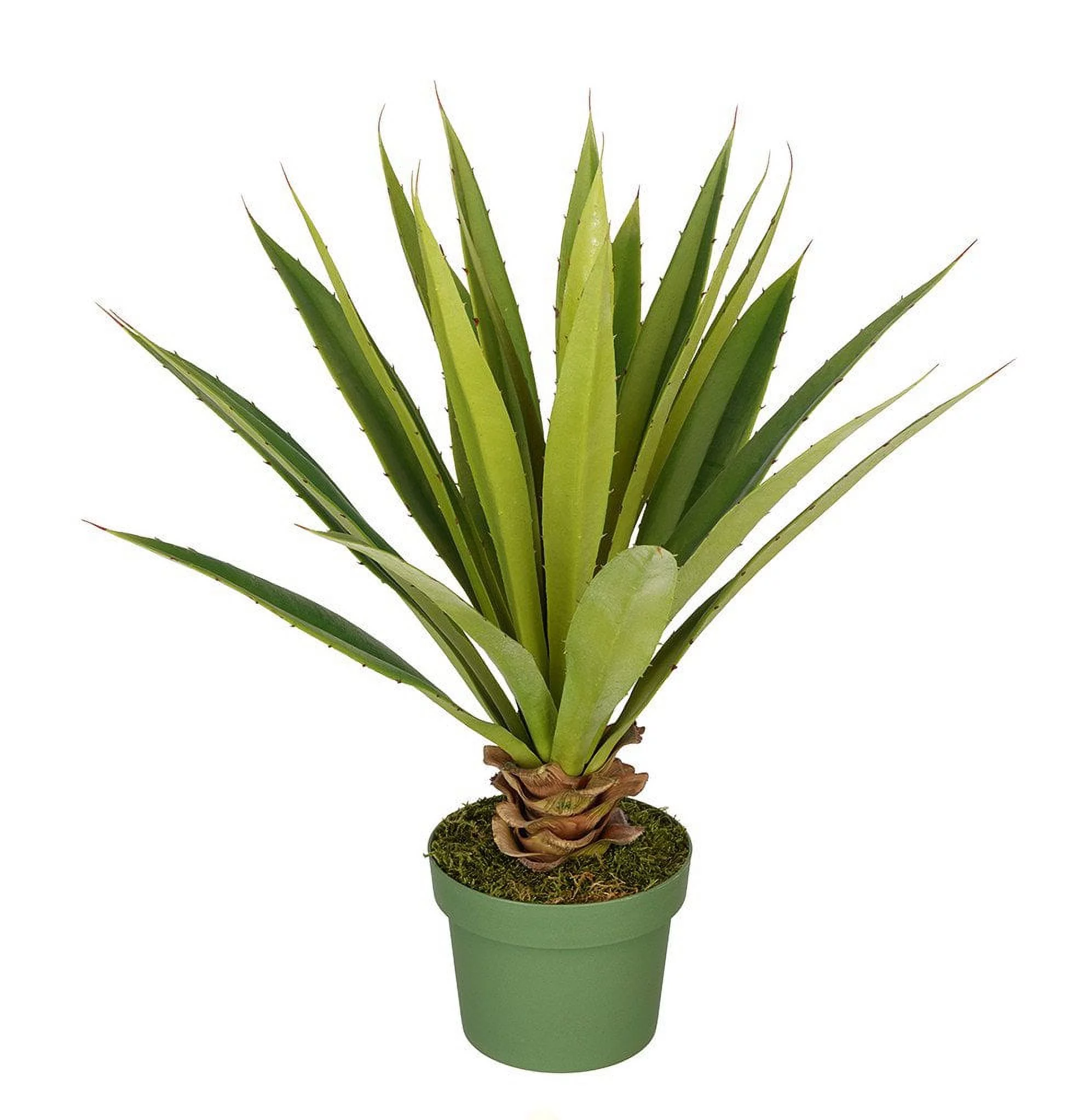 House of Silk Flowers Artificial Spike Yucca Plant (Small) - Curated Treasures Market