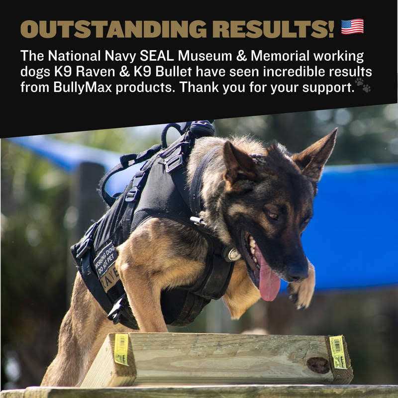 Bully Max Pro Series 11-in-1 Muscle Gain Chews