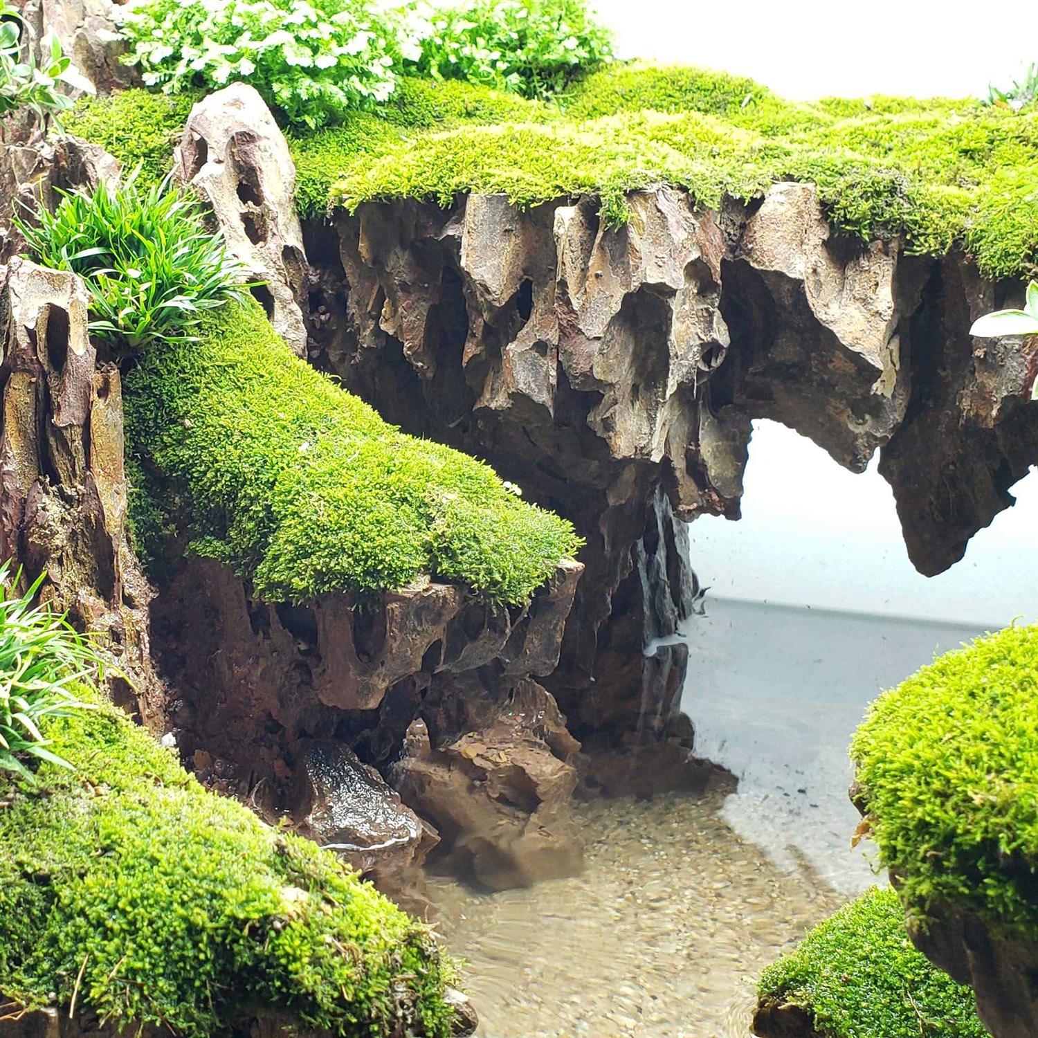 Lifegard Aquatics Dragon Songpi Ohko Rock 25 Gallon Kit