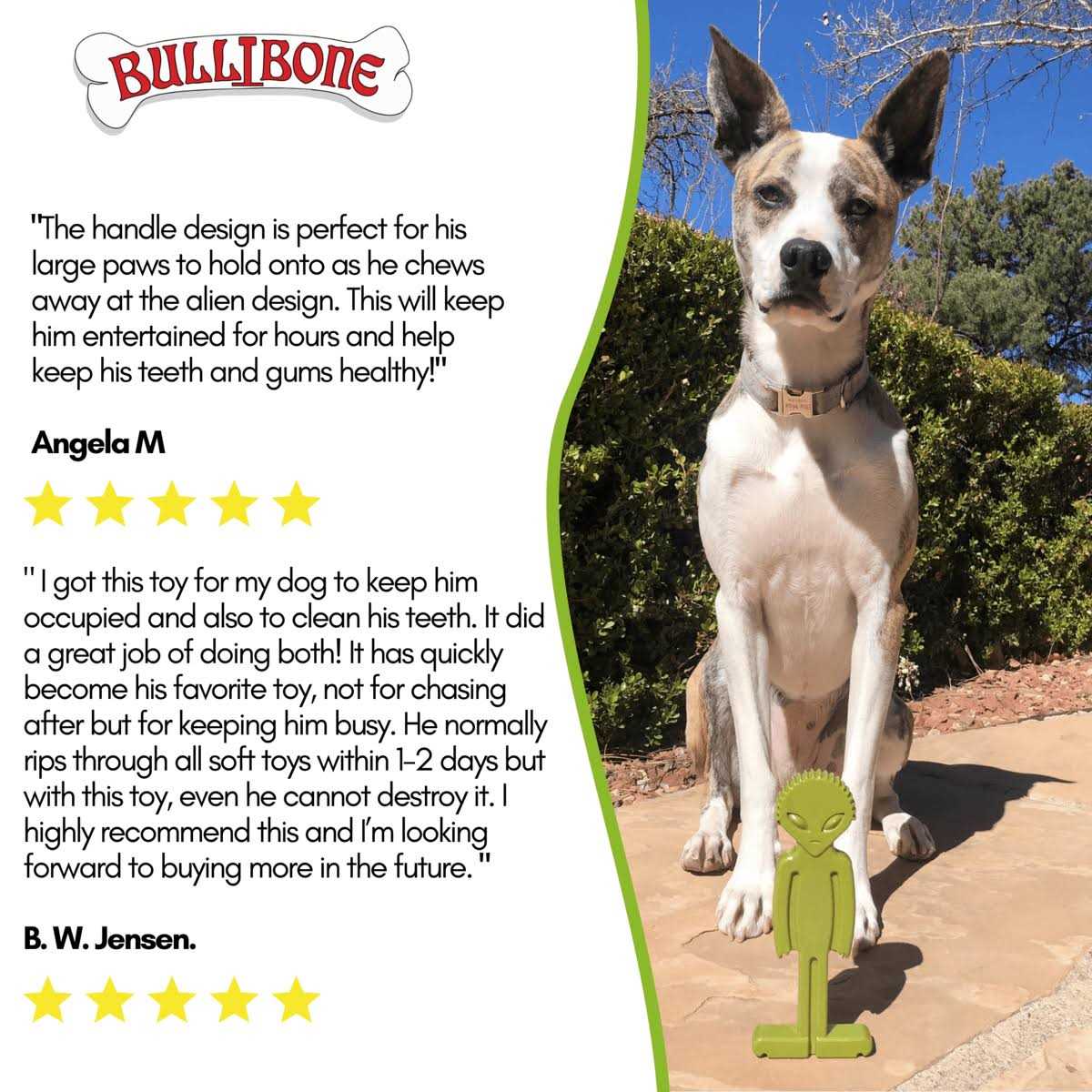 Bullibone Small Alien Bone Dog Chew Toy for Small Dogs With Easy Hold Grips