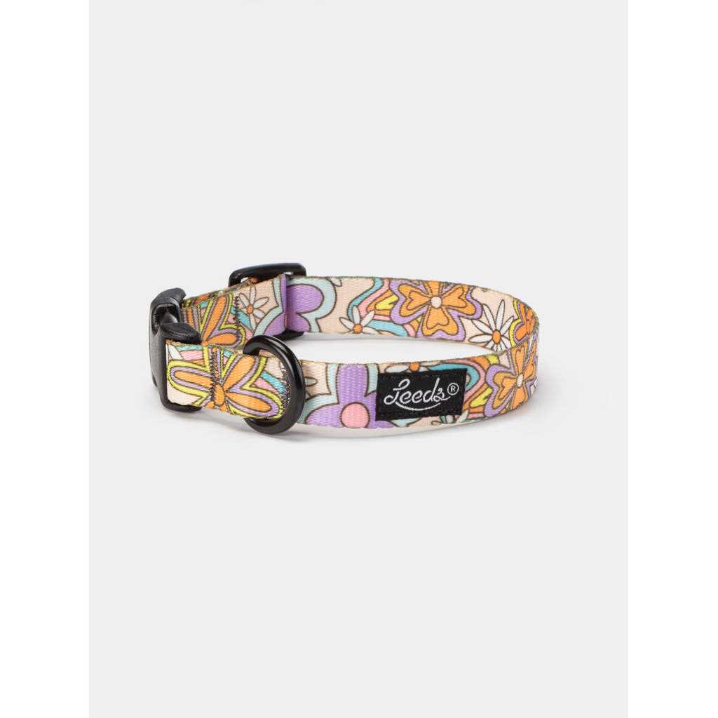 Leeds Dog Supply Dazey Collar