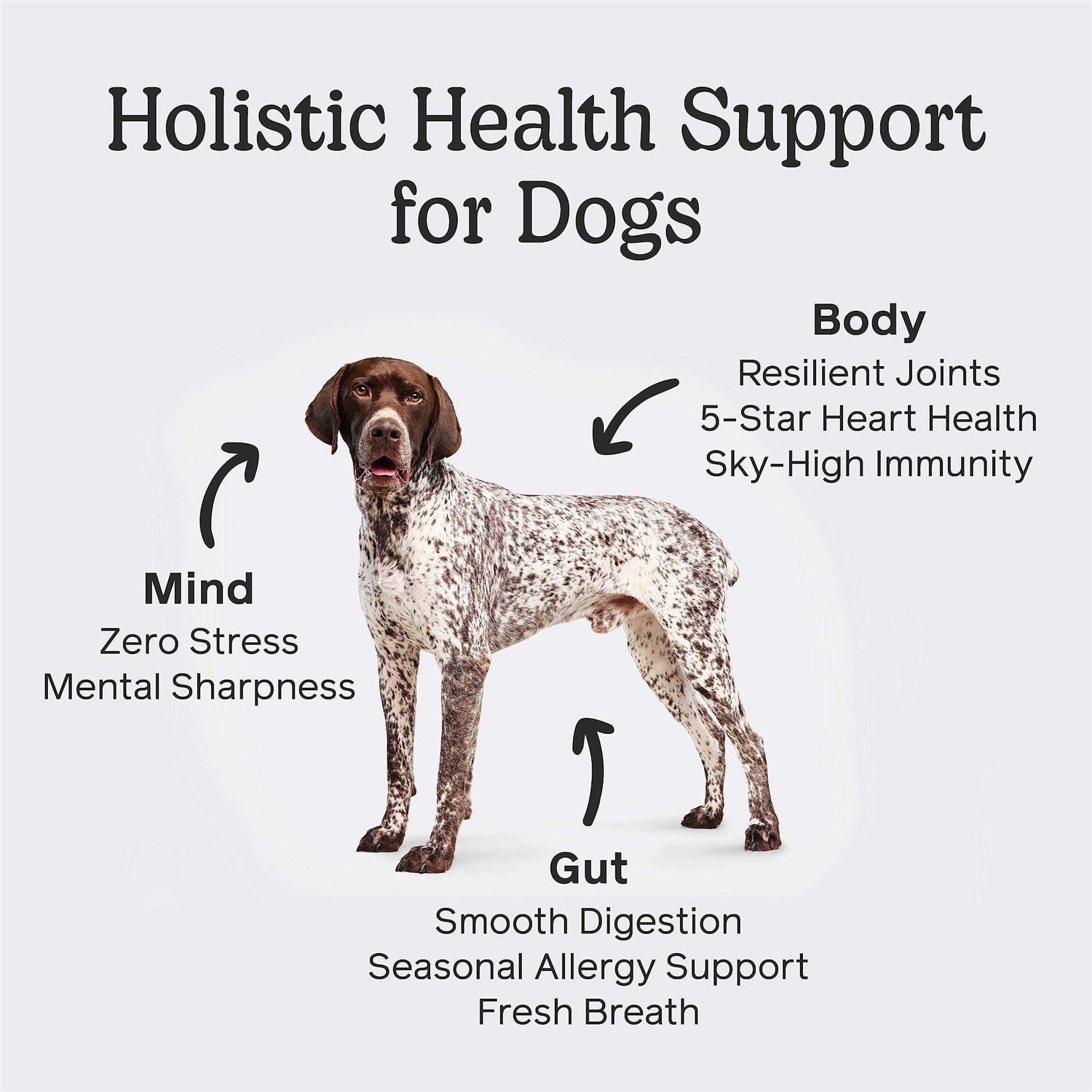 The One by Front Of The Pack Dog