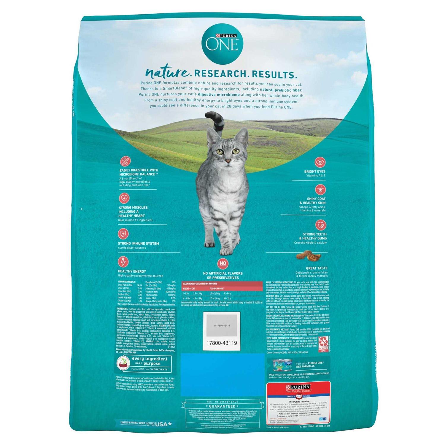 Purina ONE Smartblend Dry Cat Food