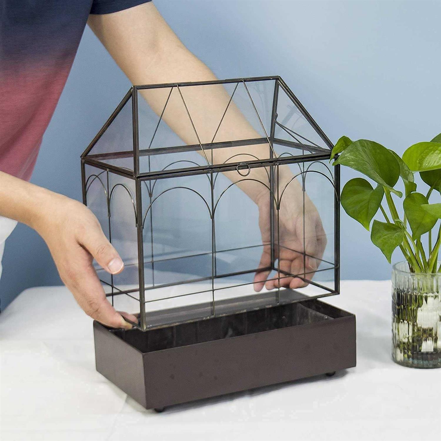 YIMORENcE V Large Tall glass Plant Terrarium – House Succulent Terrarium Kit with Lip and Tray