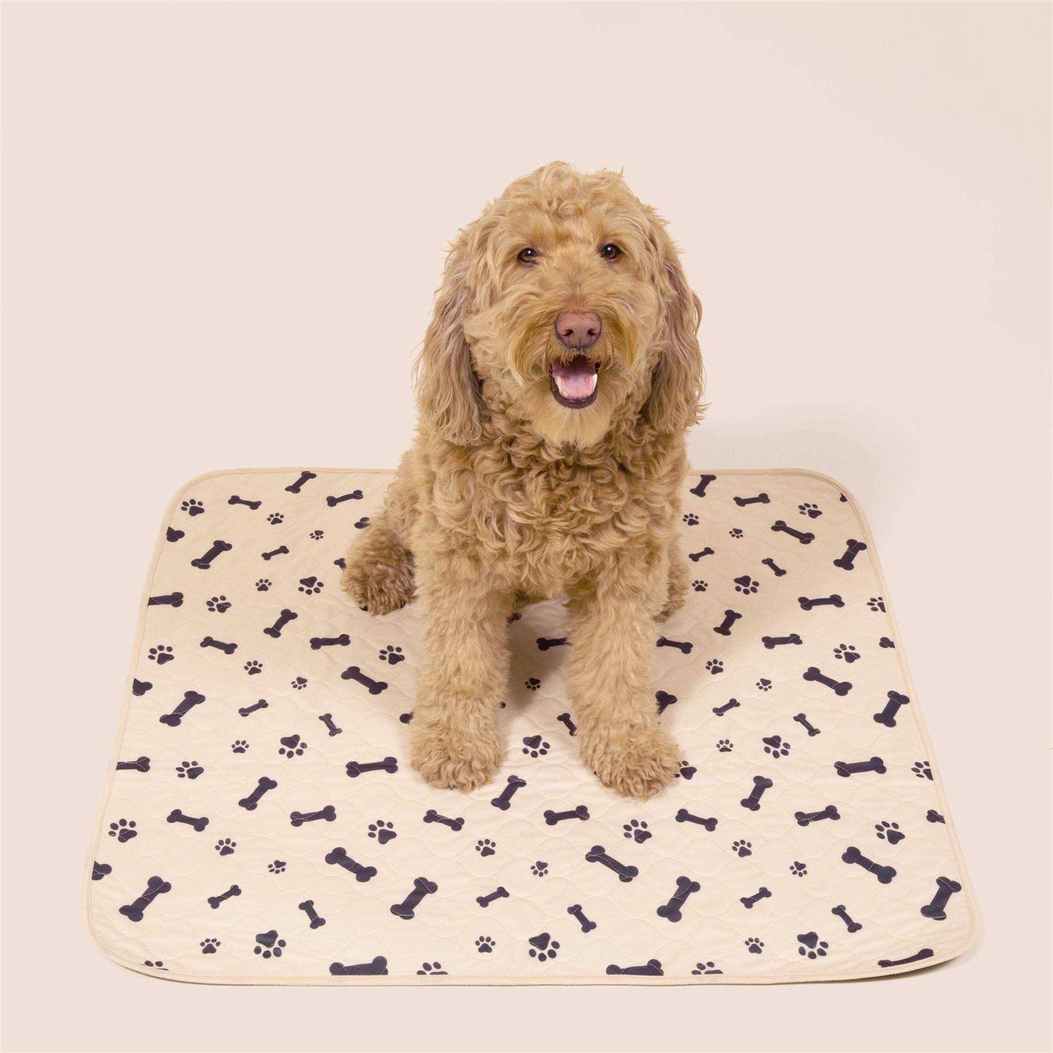 Potty Buddy Reusable Pet Pad