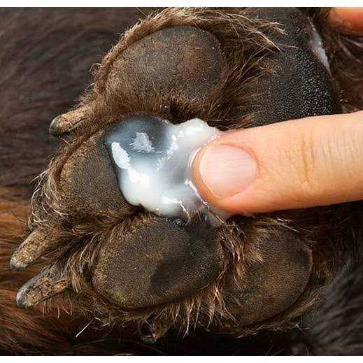 Healers Anti-Itch Hot Spot Relief for Pets with Hydrocortisone