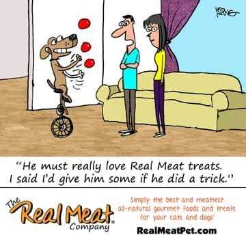 Real Meat Dog Jerky Treats Lamb