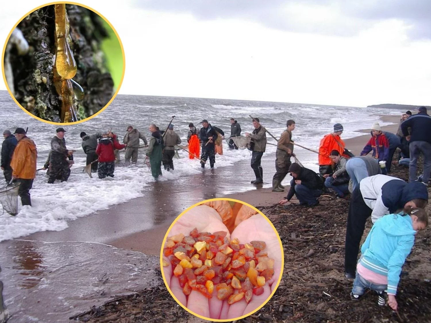 Genuine Baltic Amber Necklace, Natural Handmade Jewelry 17.5