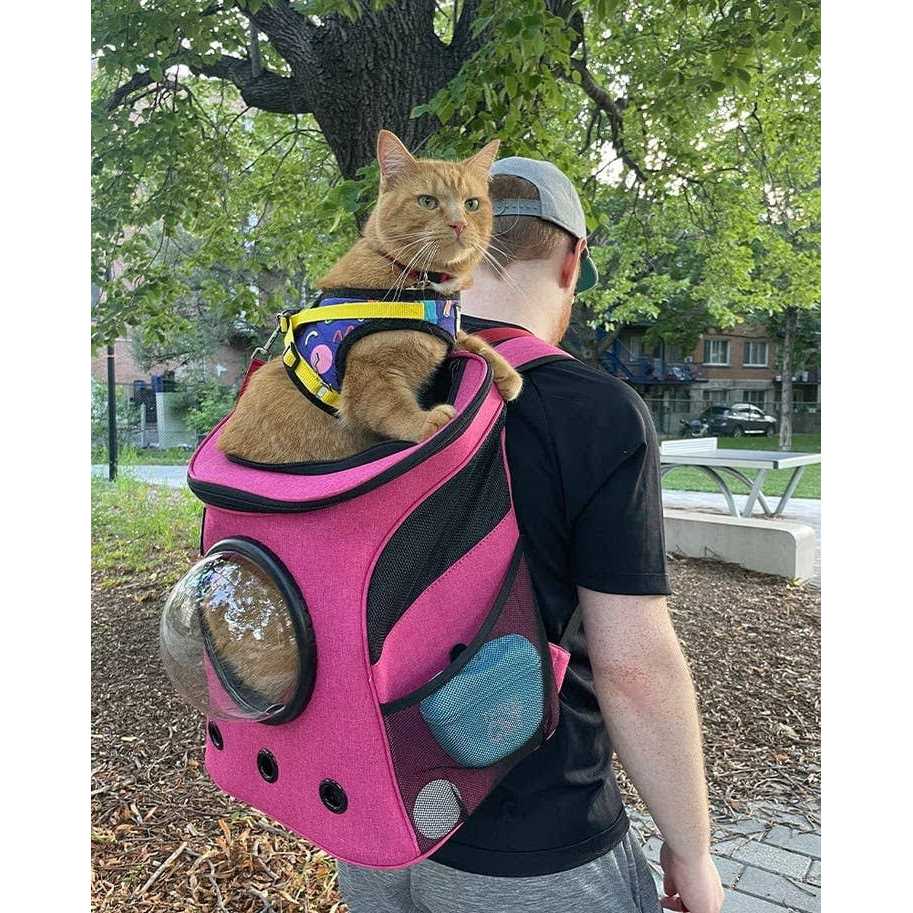 The Fat Cat Cat Backpack