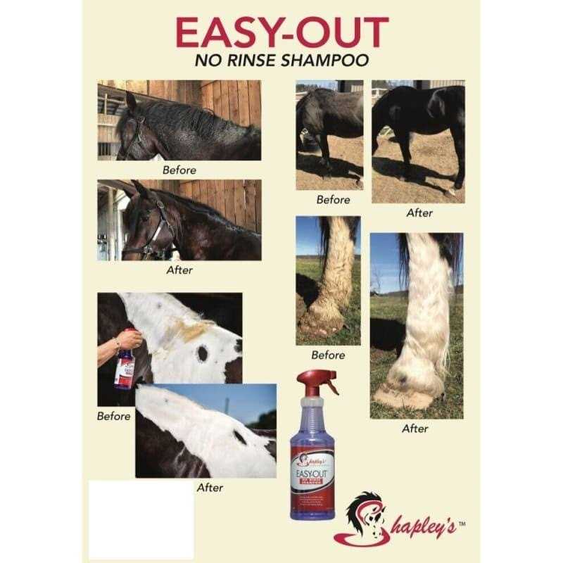 Shapley’s Easy Out No Rinse Shampoo