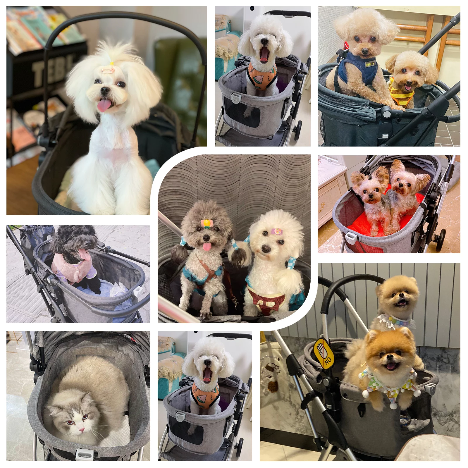 Beberoad Pets Pet Stroller for Small Dogs & Cats, with Removable Basket & Foldable Cart Frame, Inner Space Size 18.9