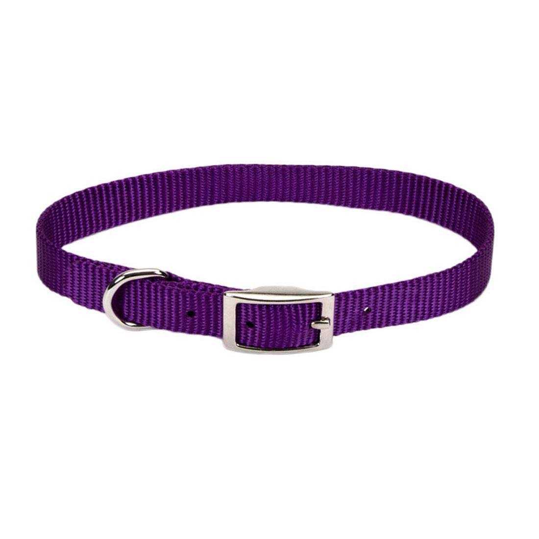Coastal Nylon Pet Collar