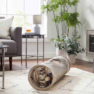 Best Friends by Sheri Ilan Oxford Cat Tunnel