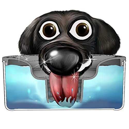 Slopper Stopper Dripless Water Bowl Tritan Plastic Bowl Unit Breed Dogs