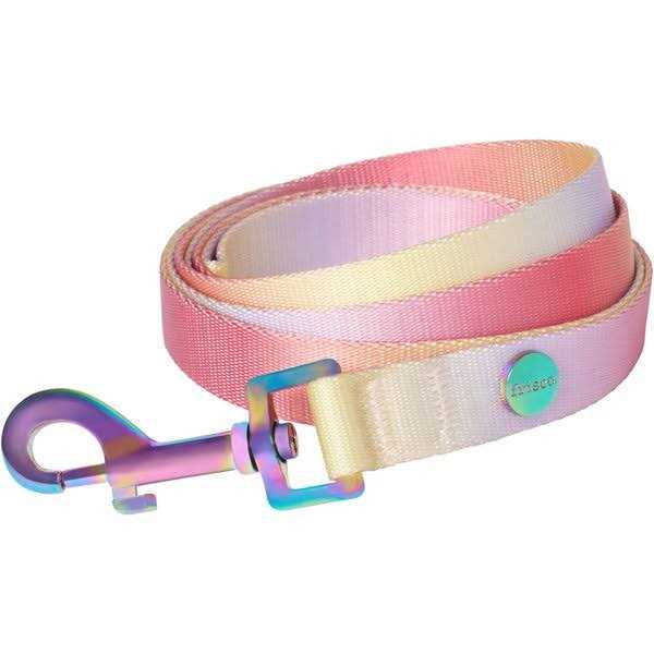 Frisco Ombre Style Dog Leash
