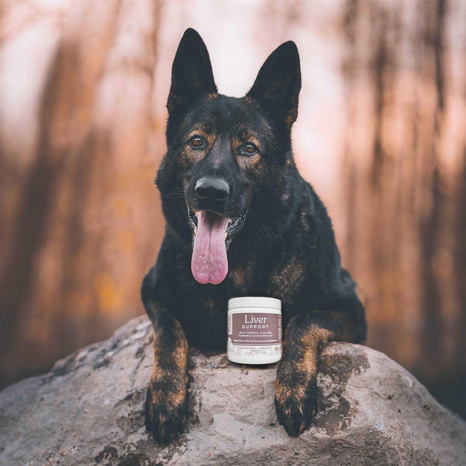 Fera Pet Organics Liver Support for Dogs & Cats