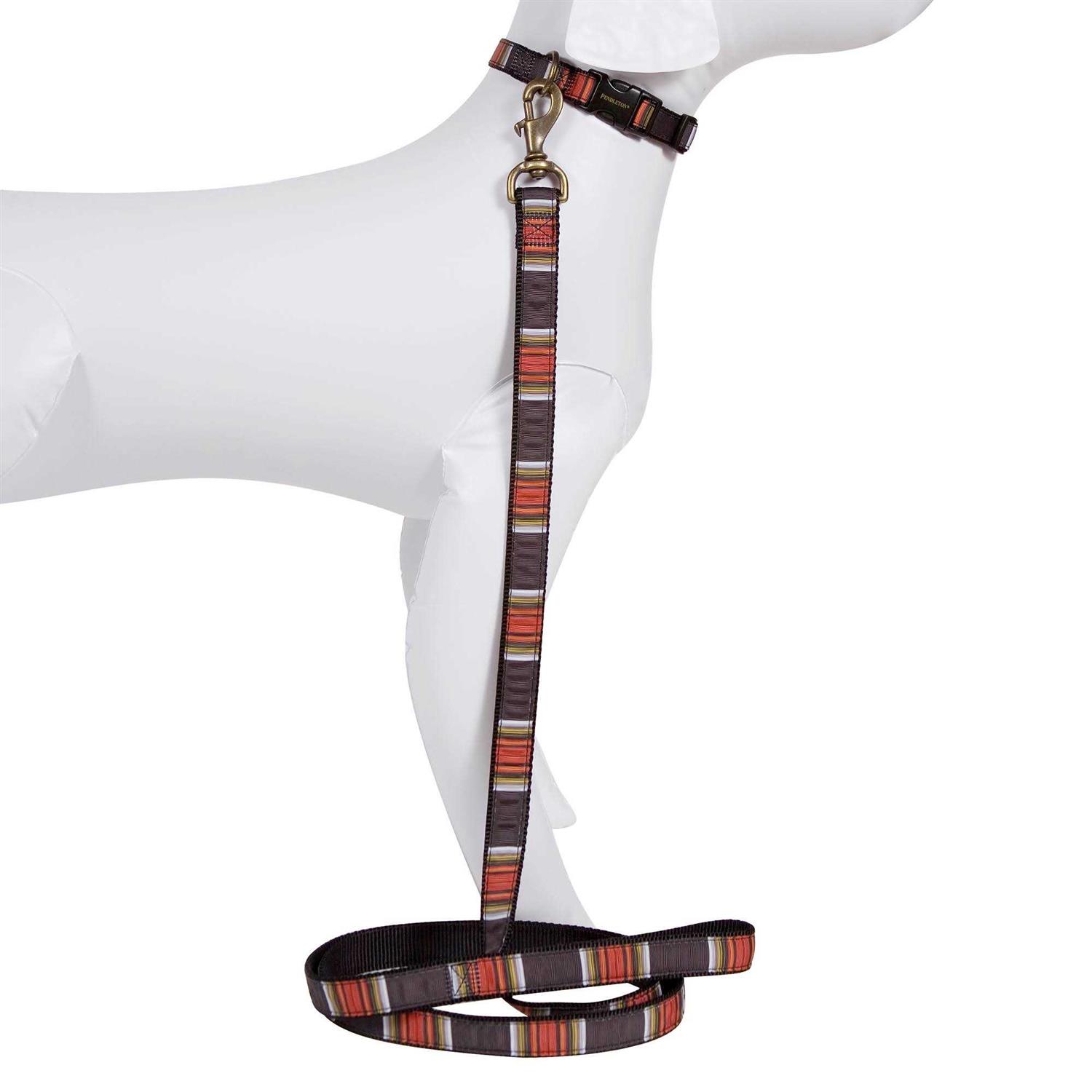 Pendleton Dog Collar National Park Hiker