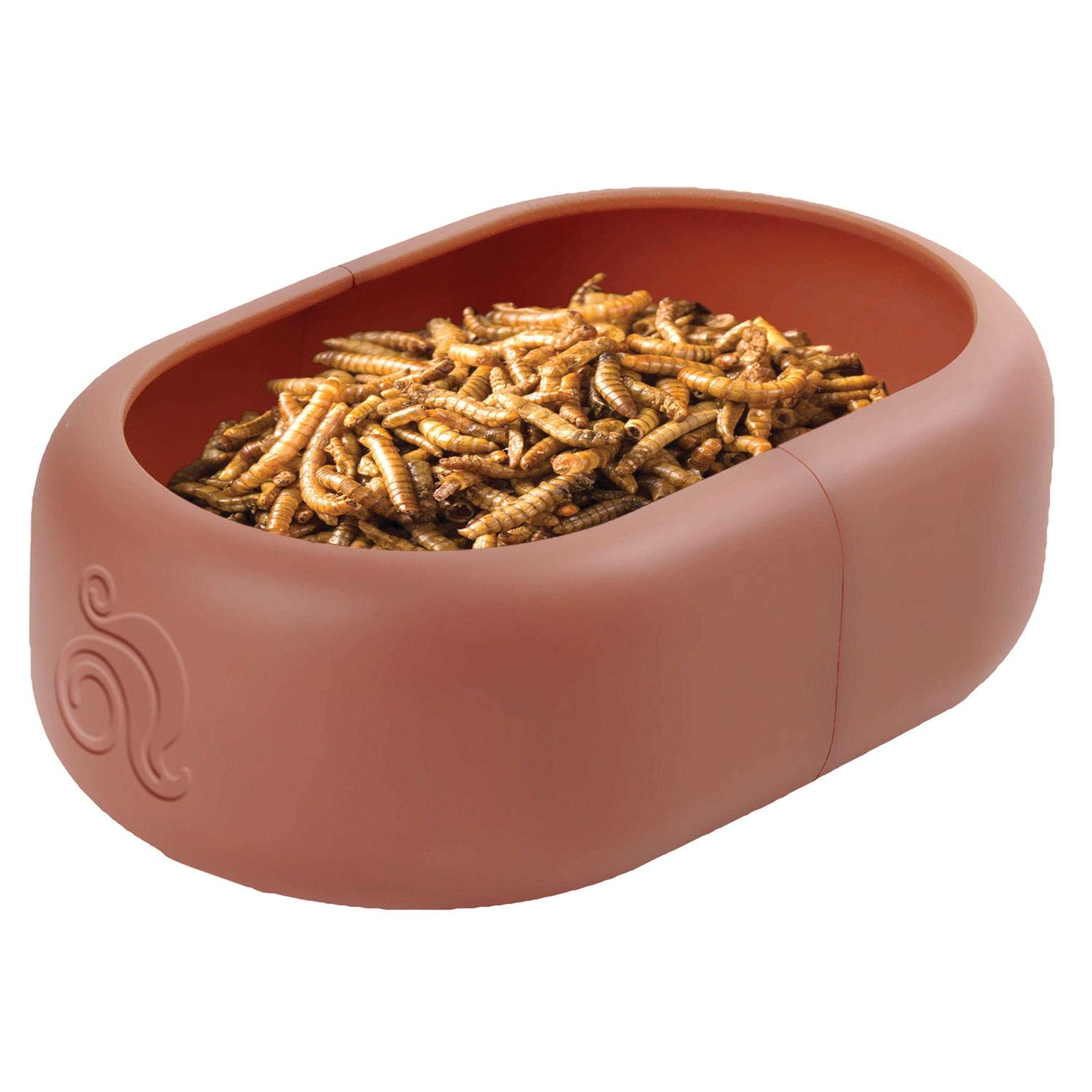 Komodo Smart Mealworm Reptile Feeding Dish for Aquarium or Reptile Tank