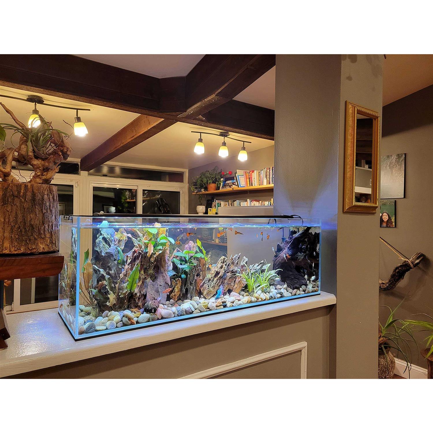 Lifegard Aquatics 16 Gallon Clear Glass Bookshelf Aquarium - Pet Supplies online store